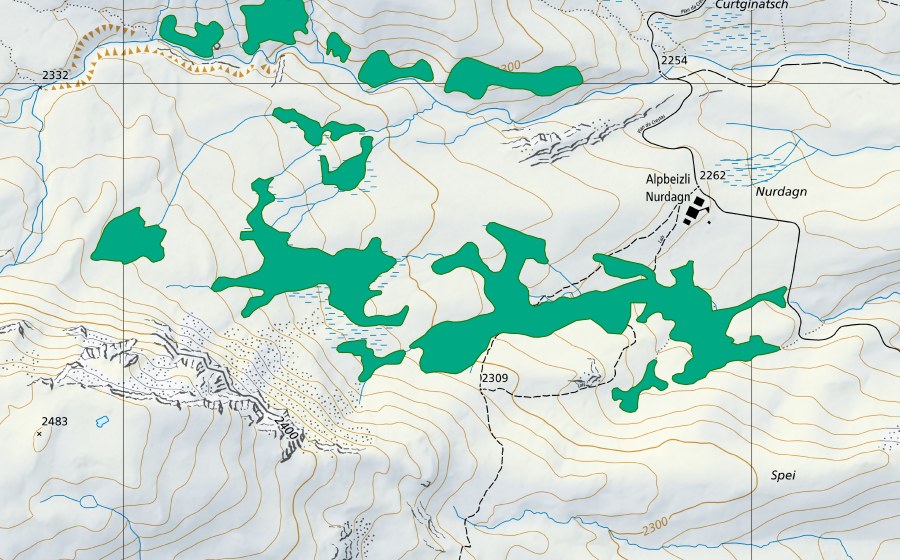 Landeskarte swisstopo mit dem Schutzperimeter von Alp Anarosa II (Flachmoor)