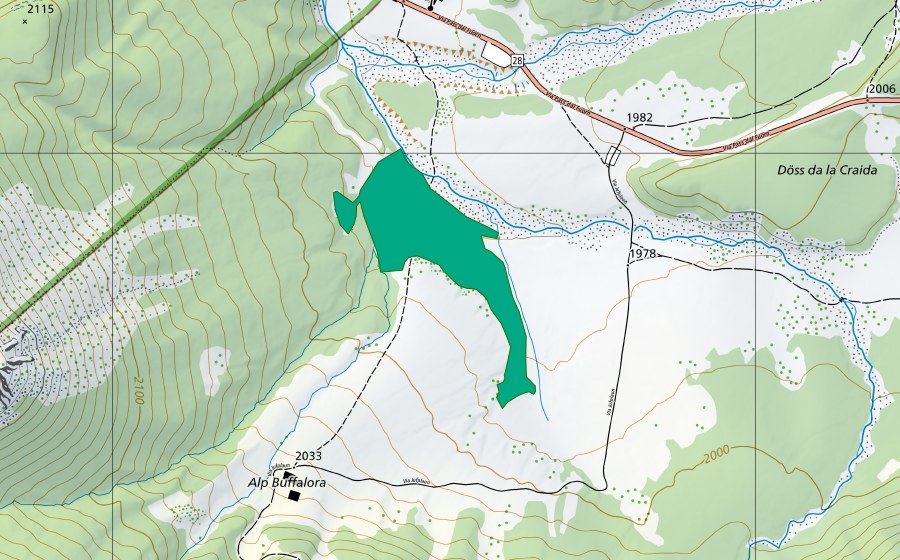 swisstopo national map showing the protected perimeter of Alp Buffalora (Fen)