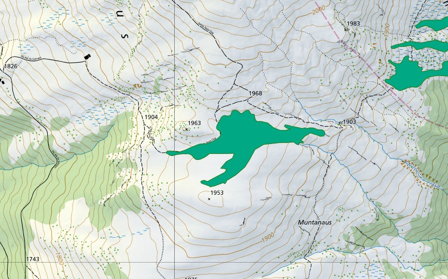 swisstopo national map showing the protected perimeter of Alp da Schnaus (Fen)