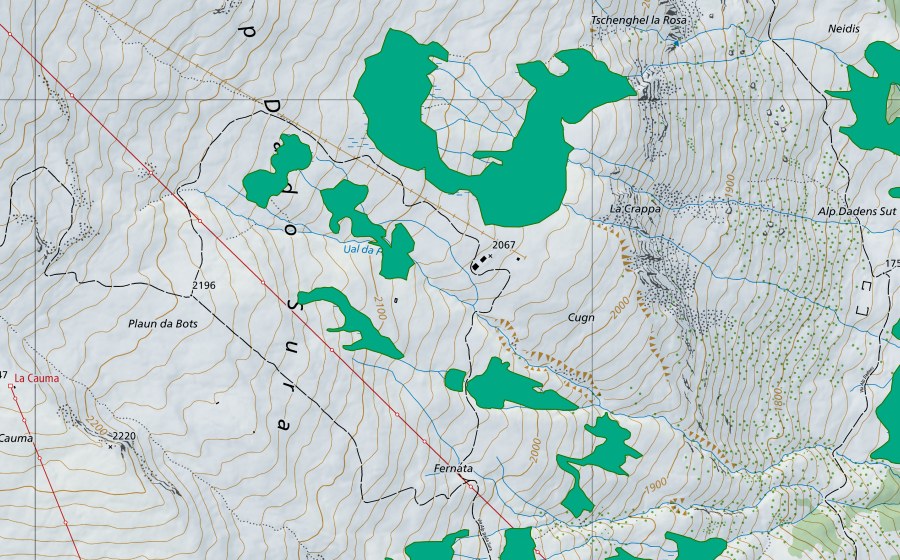 swisstopo national map showing the protected perimeter of Alp Dado Sura (Fen)