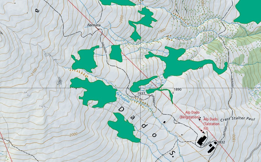 Landeskarte swisstopo mit dem Schutzperimeter von Alp Dado Sut (Flachmoor)