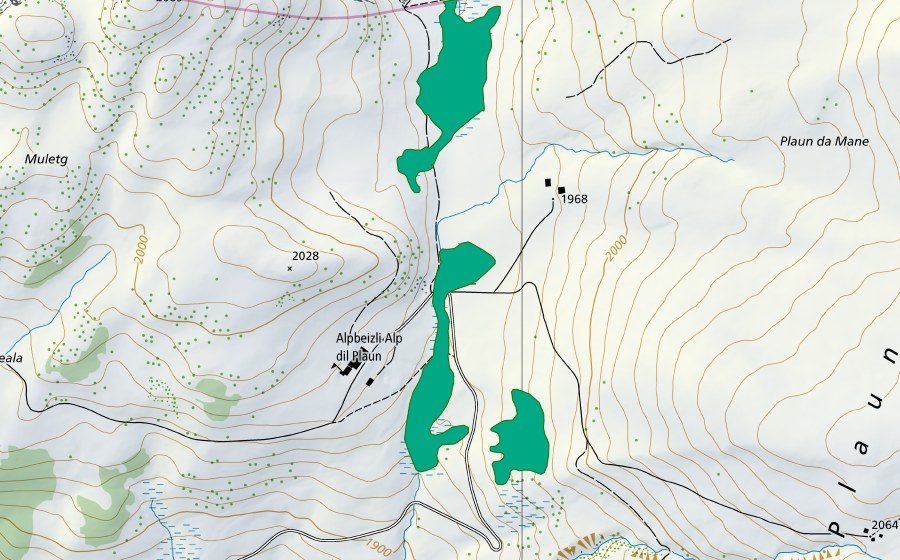 swisstopo national map showing the protected perimeter of Alp dil Plaun (Fen)
