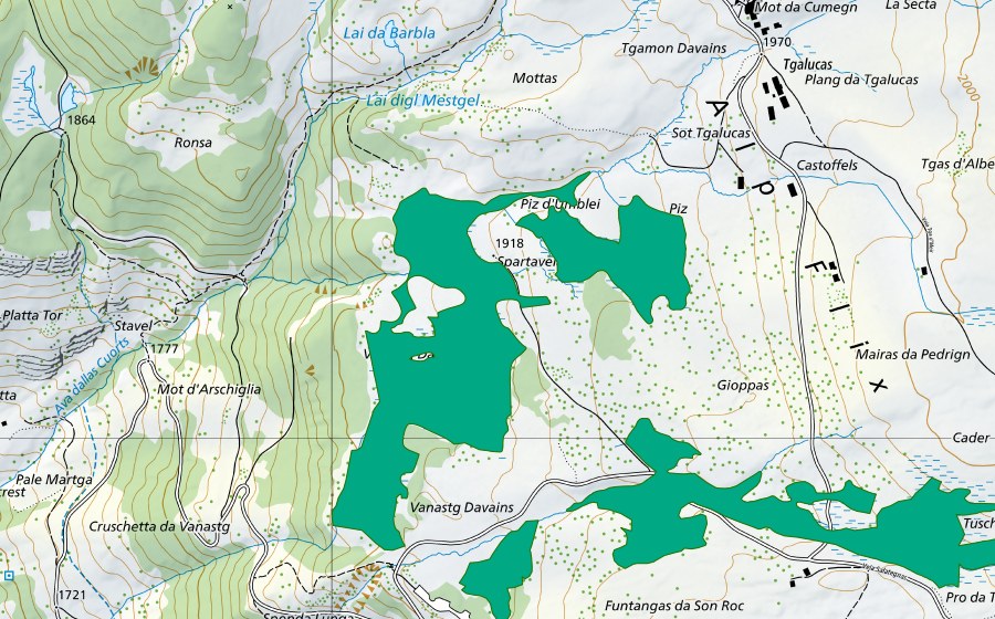 swisstopo national map showing the protected perimeter of Alp Flix (Fen)