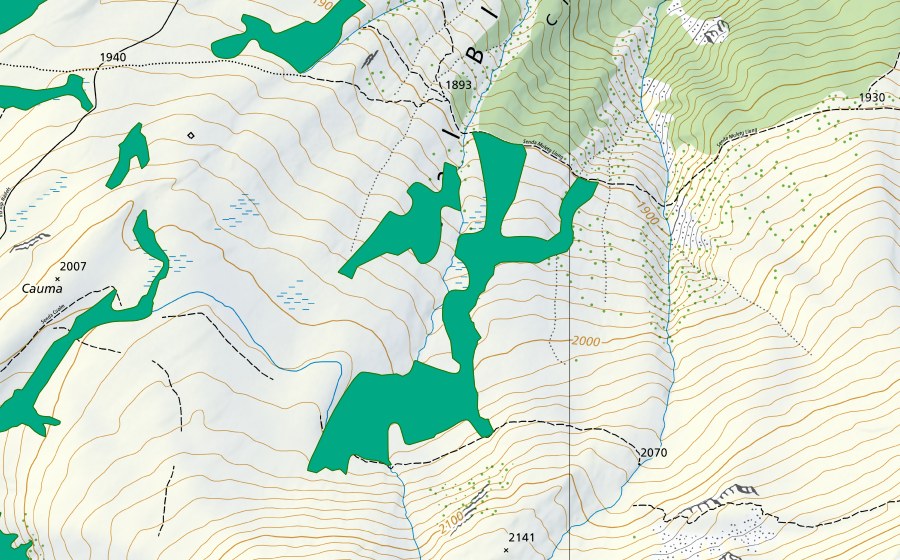 Carte nationale swisstopo avec le périmètre protégé de Alp Nadéls Daden (Bas-marais)
