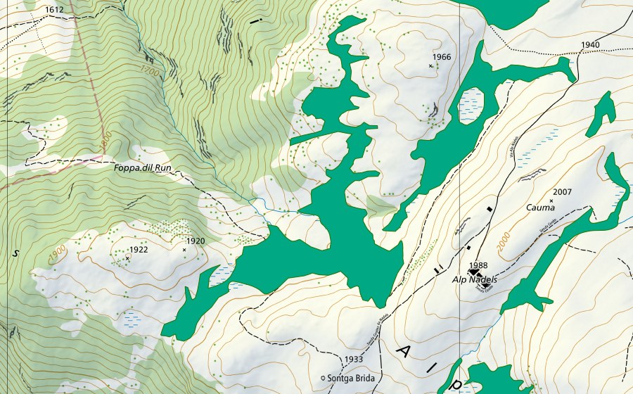 Landeskarte swisstopo mit dem Schutzperimeter von Alp Nadels (Flachmoor)