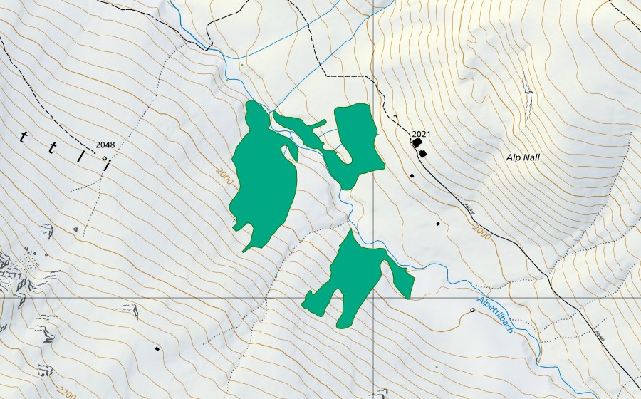 Landeskarte swisstopo mit dem Schutzperimeter von Alp Naul (Flachmoor)