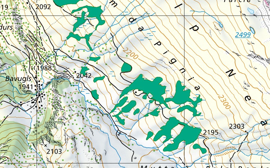 swisstopo national map showing the protected perimeter of Alp Neaza (Fen)