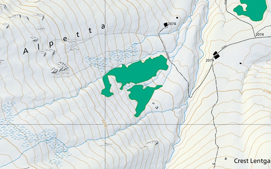 Landeskarte swisstopo mit dem Schutzperimeter von Alp Nova (Flachmoor)