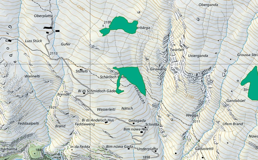 Landeskarte swisstopo mit dem Schutzperimeter von Alp Platta (Flachmoor)