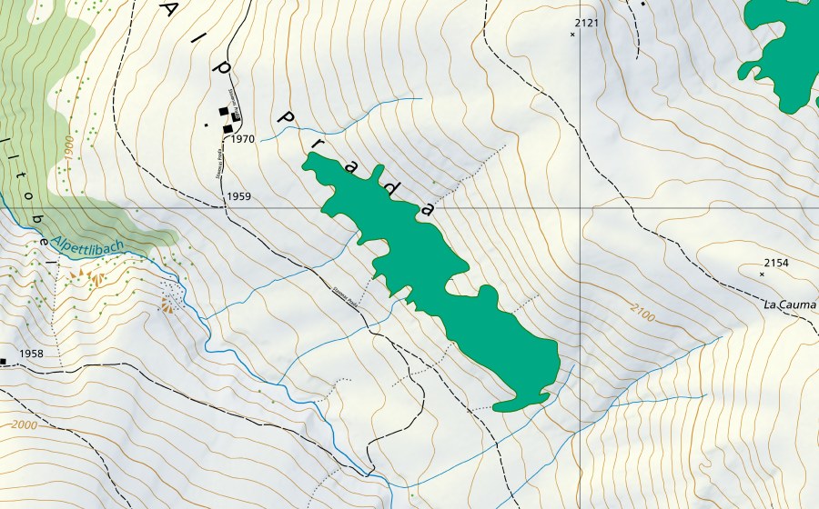 Landeskarte swisstopo mit dem Schutzperimeter von Alp Prada (Flachmoor)