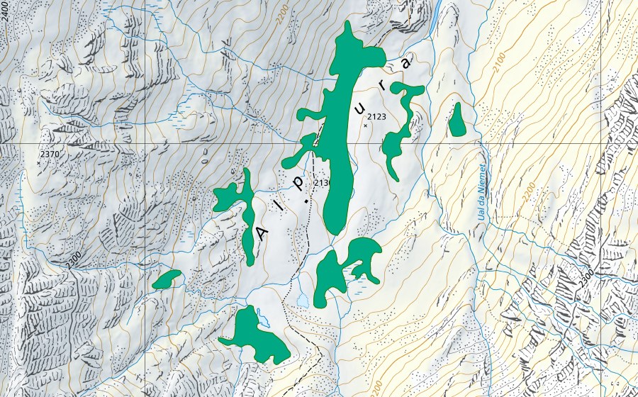 Carte nationale swisstopo avec le périmètre protégé de Alp Sura (Bas-marais)