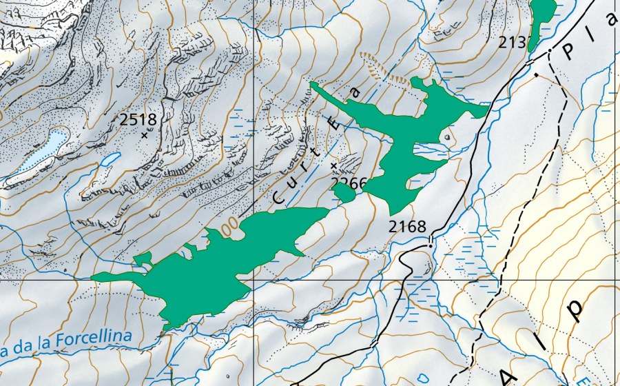 Landeskarte swisstopo mit dem Schutzperimeter von Alp Tgavretga (Flachmoor)
