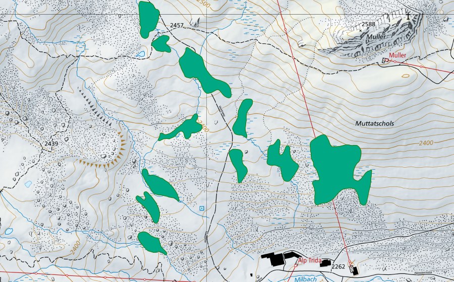 Carte nationale swisstopo avec le périmètre protégé de Alp Trida (Bas-marais)