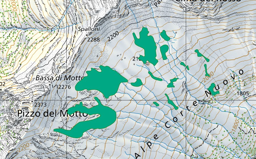 Landeskarte swisstopo mit dem Schutzperimeter von Alpe Corte Nuovo (Flachmoor)
