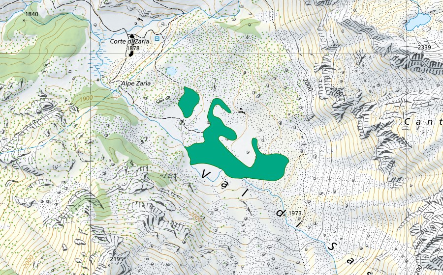 Carte nationale swisstopo avec le périmètre protégé de Alpe Zaria (Bas-marais)