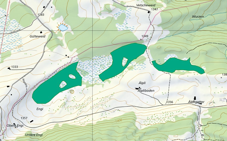 Landeskarte swisstopo mit dem Schutzperimeter von Älpli/Eggenriet (Flachmoor)