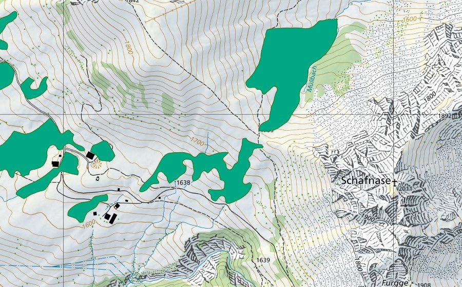 Carte nationale swisstopo avec le périmètre protégé de Alpoglen (Bas-marais)