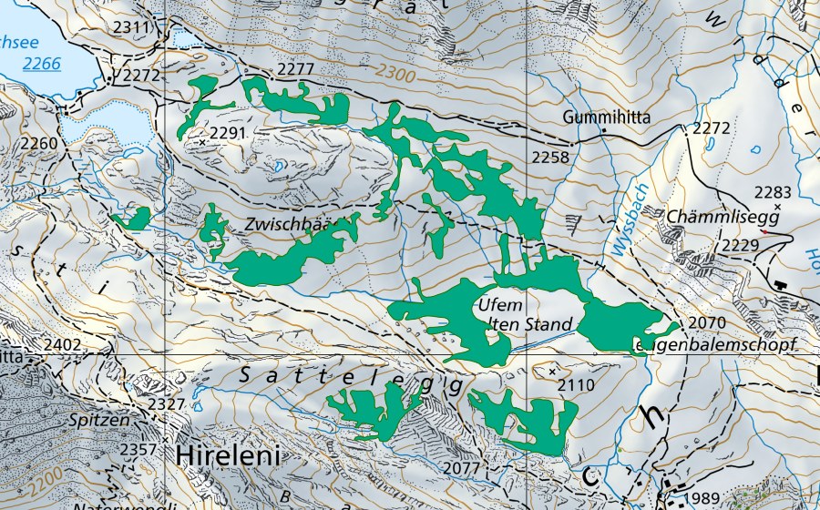 Carte nationale swisstopo avec le périmètre protégé de Alte Stand/Wischbääch (Bas-marais)