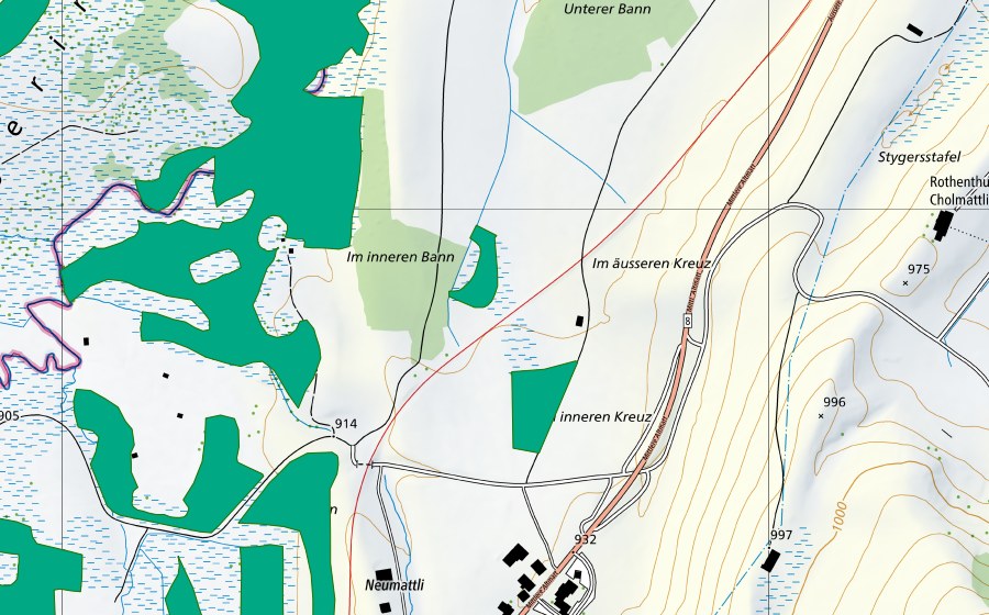 Landeskarte swisstopo mit dem Schutzperimeter von Altmatt-Biberbrugg (Flachmoor)