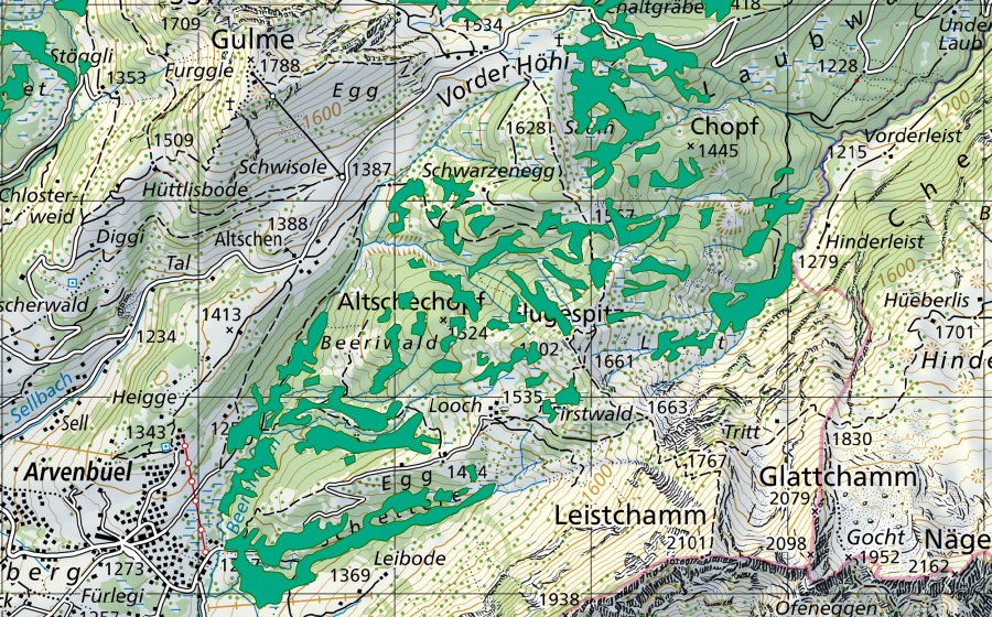 Carte nationale swisstopo avec le périmètre protégé de Altschenchopf (Bas-marais)
