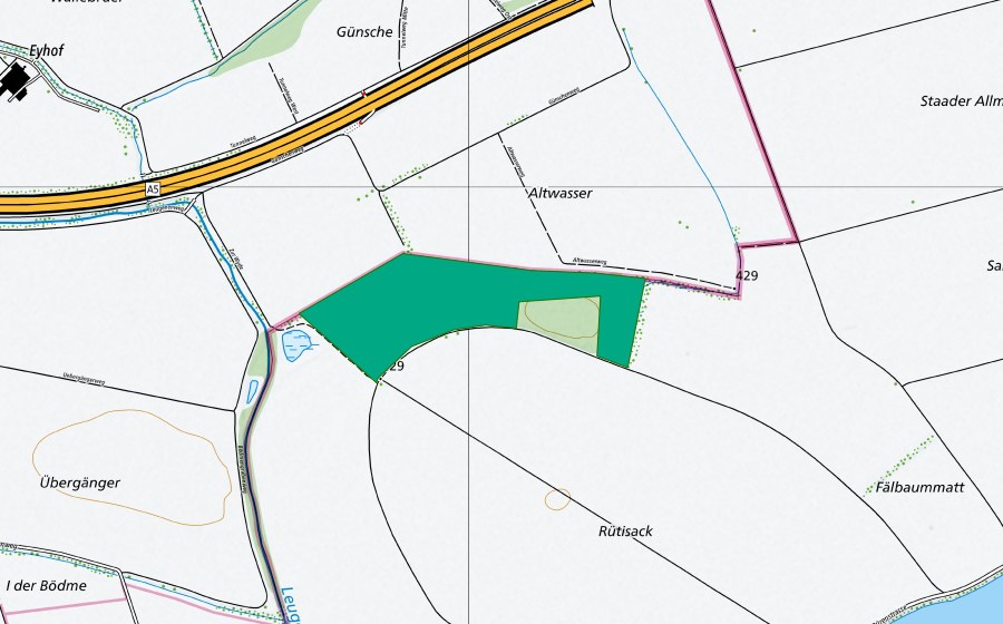 Landeskarte swisstopo mit dem Schutzperimeter von Altwasser (Flachmoor)