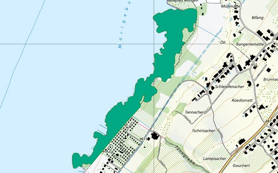swisstopo national map showing the protected perimeter of Am See (Fen)