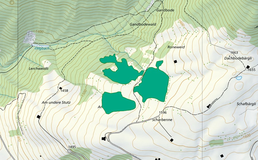 Landeskarte swisstopo mit dem Schutzperimeter von Am Undere Stutz (Flachmoor)