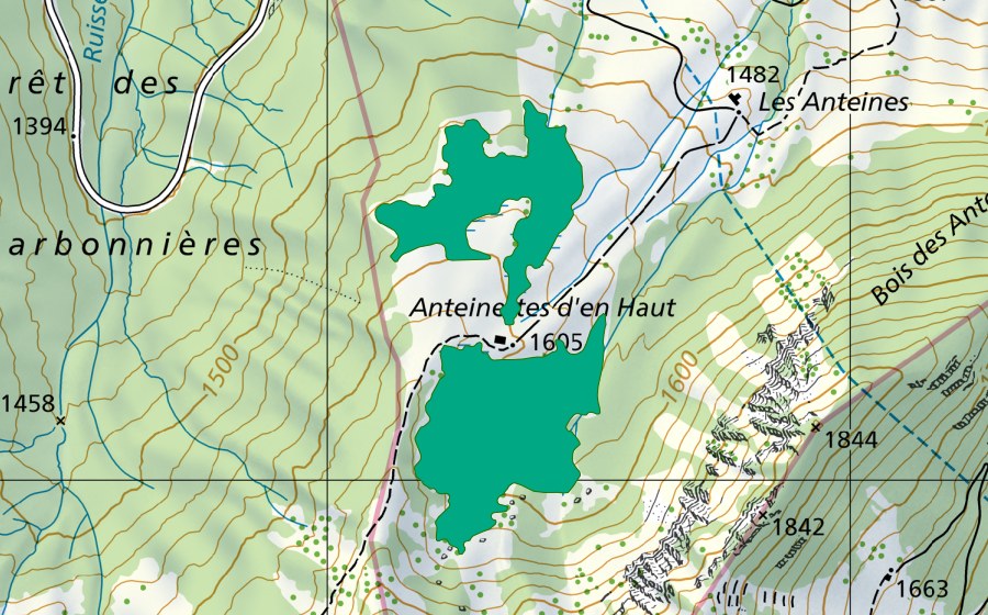 Carte nationale swisstopo avec le périmètre protégé de Anteinettes d'en Haut (Bas-marais)