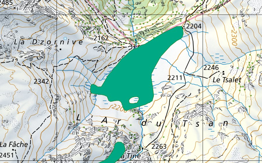 Landeskarte swisstopo mit dem Schutzperimeter von Ar du Tsan (Flachmoor)