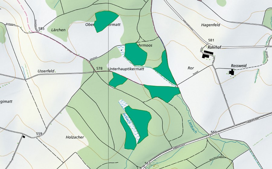 Carte nationale swisstopo avec le périmètre protégé de Arbach (Bas-marais)