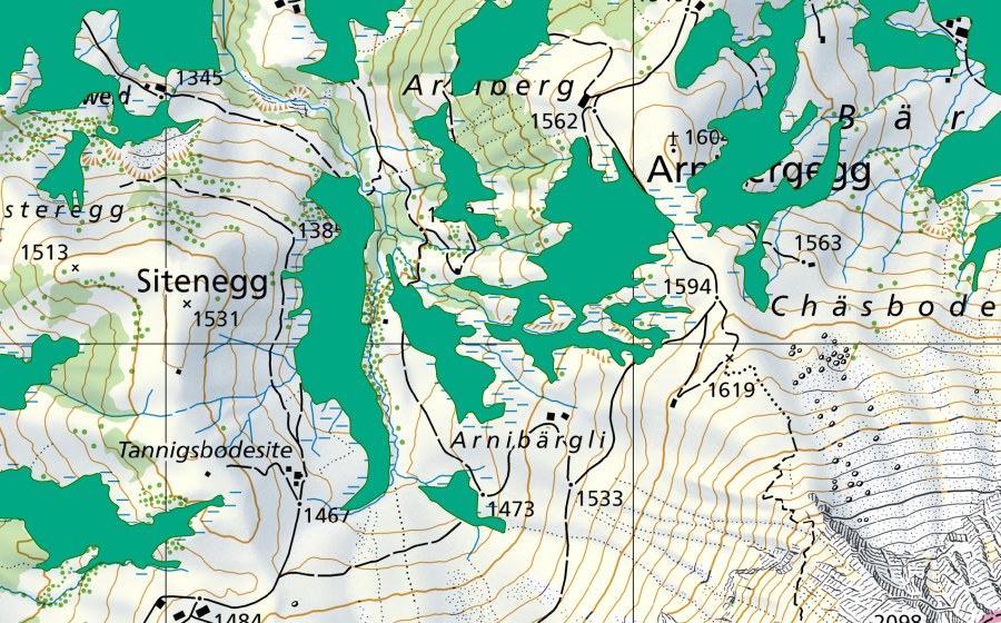 Carte nationale swisstopo avec le périmètre protégé de Arnibergli (Bas-marais)