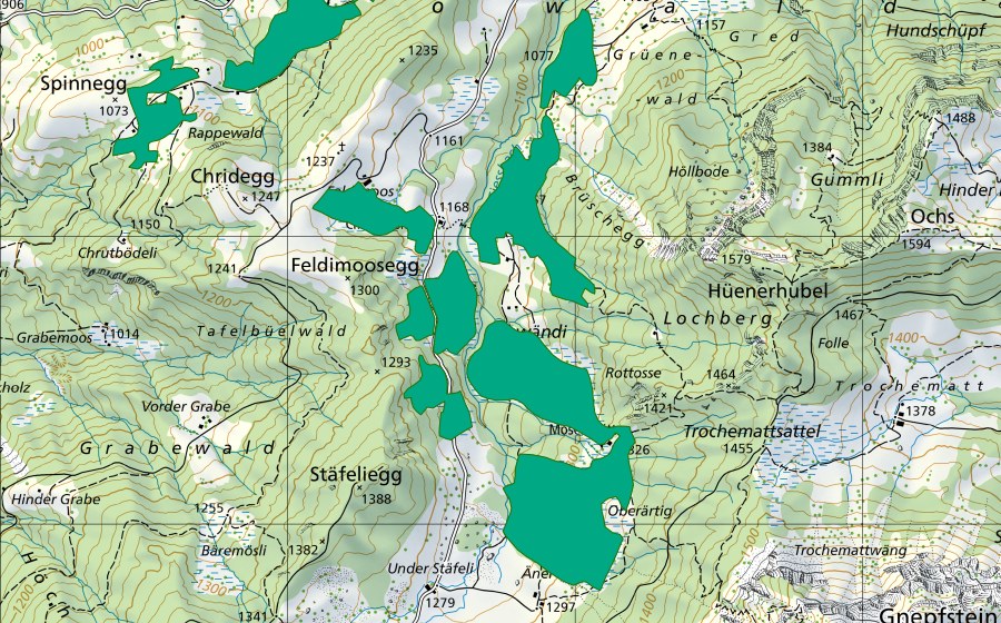 Carte nationale swisstopo avec le périmètre protégé de Ärtig/Feldimoos (Bas-marais)