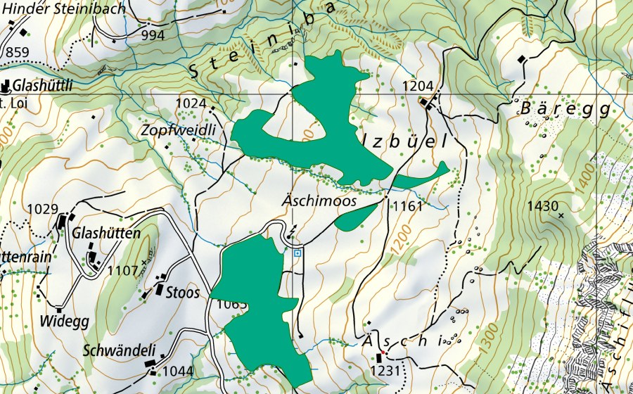 Landeskarte swisstopo mit dem Schutzperimeter von Äschimoos (Flachmoor)