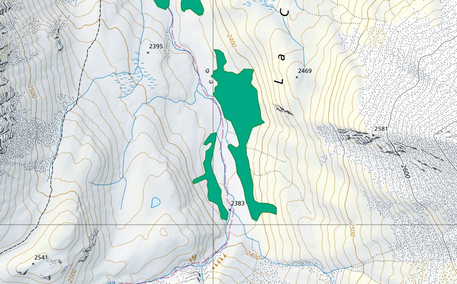 Carte nationale swisstopo avec le périmètre protégé de Aua Naira (Bas-marais)