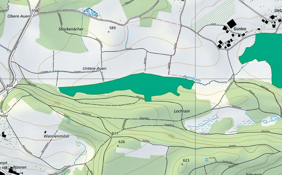 swisstopo national map showing the protected perimeter of Auen (Fen)