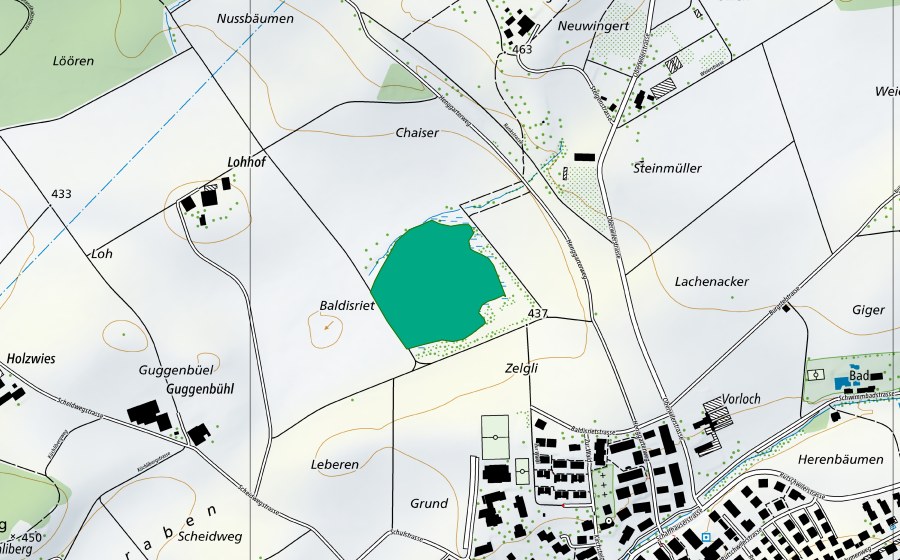 Carte nationale swisstopo avec le périmètre protégé de Baldisriet (Bas-marais)