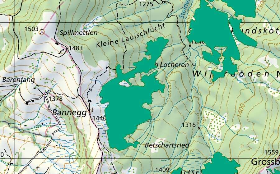 Carte nationale swisstopo avec le périmètre protégé de Bannegg (Bas-marais)