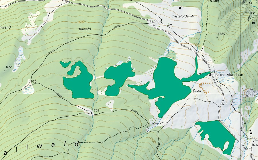 Carte nationale swisstopo avec le périmètre protégé de Bannwald (Bas-marais)