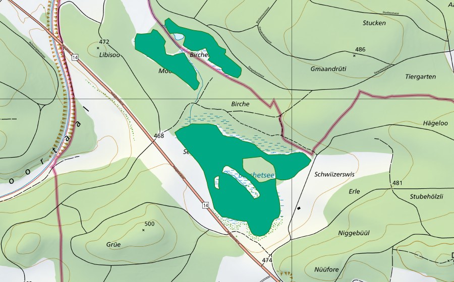Carta nazionale swisstopo con il perimetro protetto di Barchetsee (Torbiera bassa)