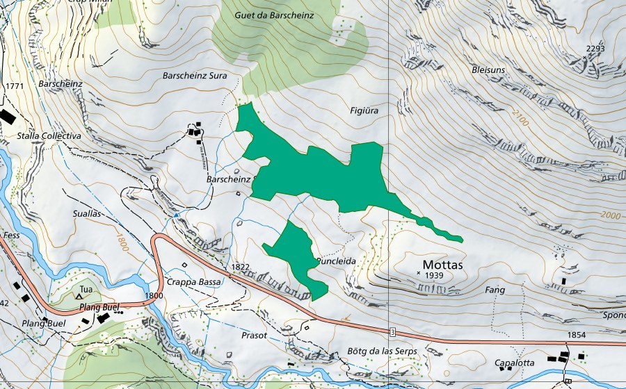 Landeskarte swisstopo mit dem Schutzperimeter von Barscheinz (Flachmoor)