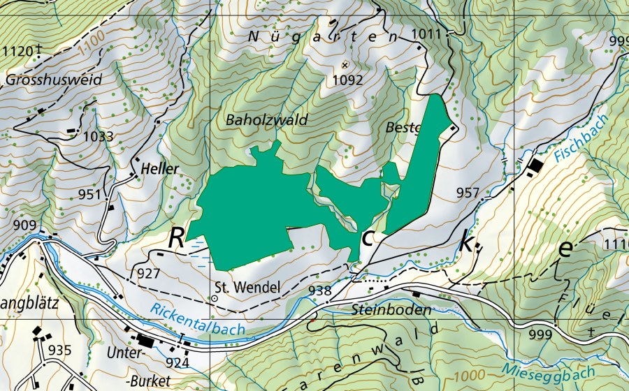 Landeskarte swisstopo mit dem Schutzperimeter von Beim Bannholz (Flachmoor)