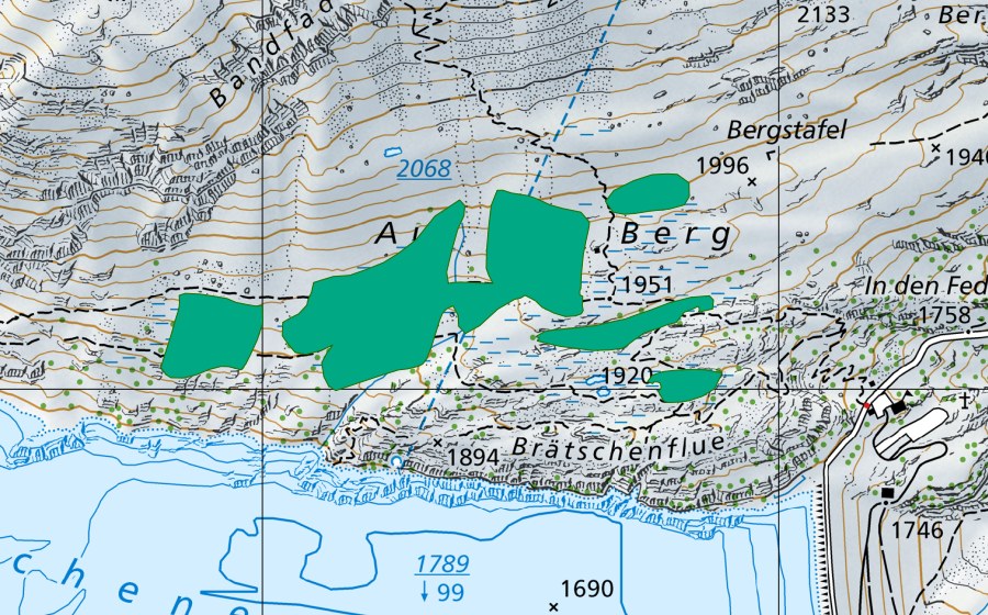 swisstopo national map showing the protected perimeter of Berg beim Göscheneralpsee (Fen)