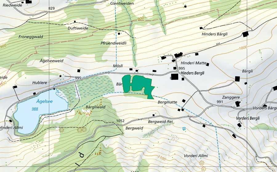 Carta nazionale swisstopo con il perimetro protetto di Bergmatte (Torbiera bassa)