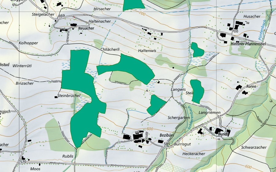 swisstopo national map showing the protected perimeter of Bergmeilen (Fen)