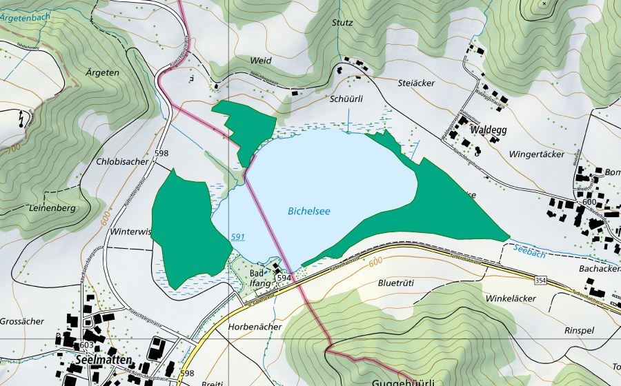 Carte nationale swisstopo avec le périmètre protégé de Bichelsee (Bas-marais)