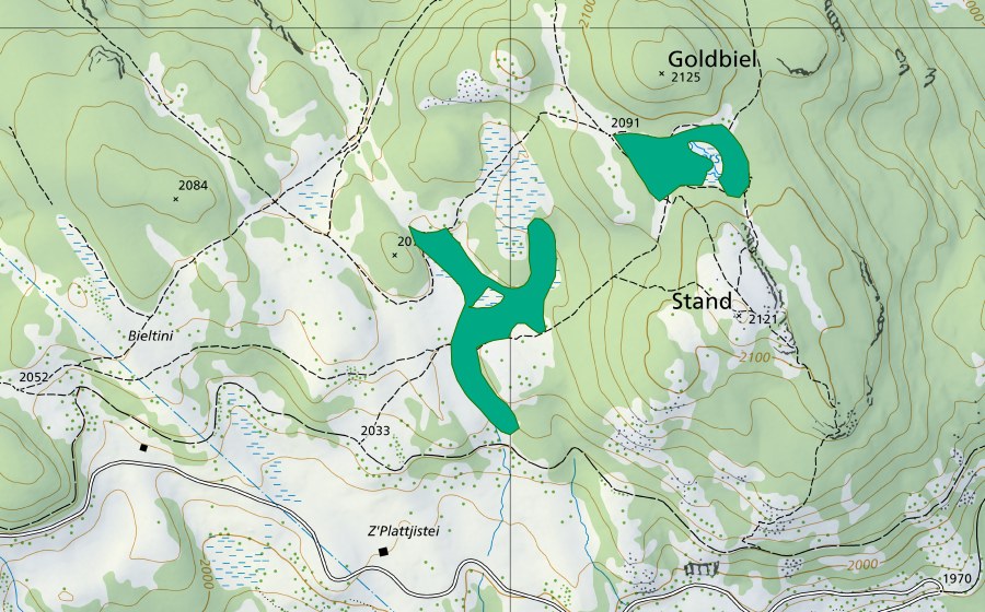 swisstopo national map showing the protected perimeter of Bieltini (Fen)