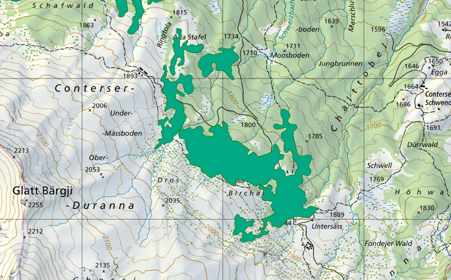 Carta nazionale swisstopo con il perimetro protetto di Birchenbüelen (Torbiera bassa)