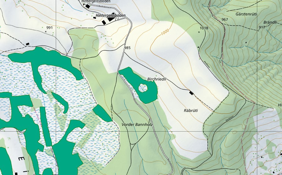 Carte nationale swisstopo avec le périmètre protégé de Birchriedli (Bas-marais)
