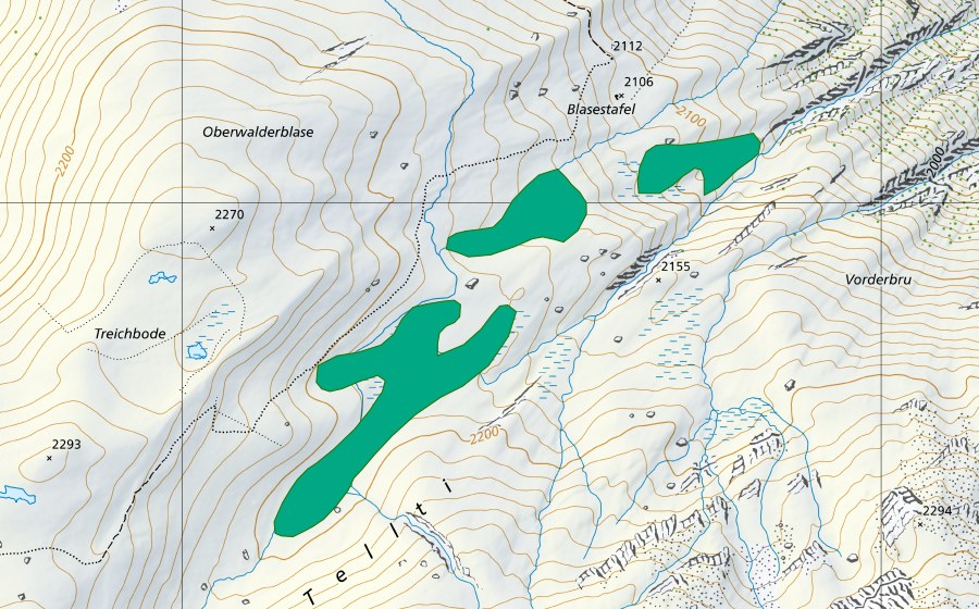 Carte nationale swisstopo avec le périmètre protégé de Blasestafel (Bas-marais)