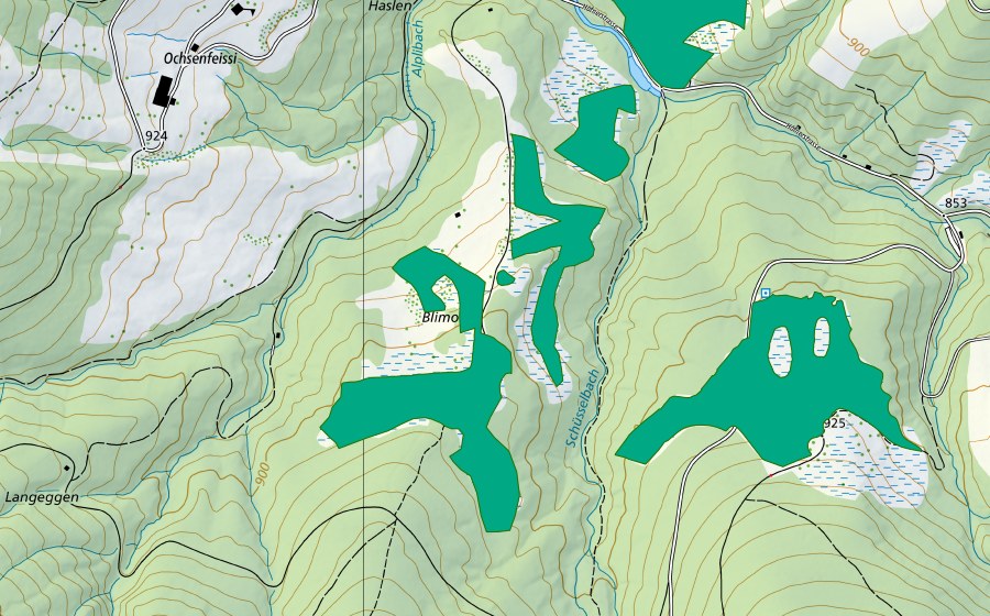 Landeskarte swisstopo mit dem Schutzperimeter von Blimoos (Flachmoor)